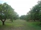 170 Madsen Rd, Howard Springs NT 0835