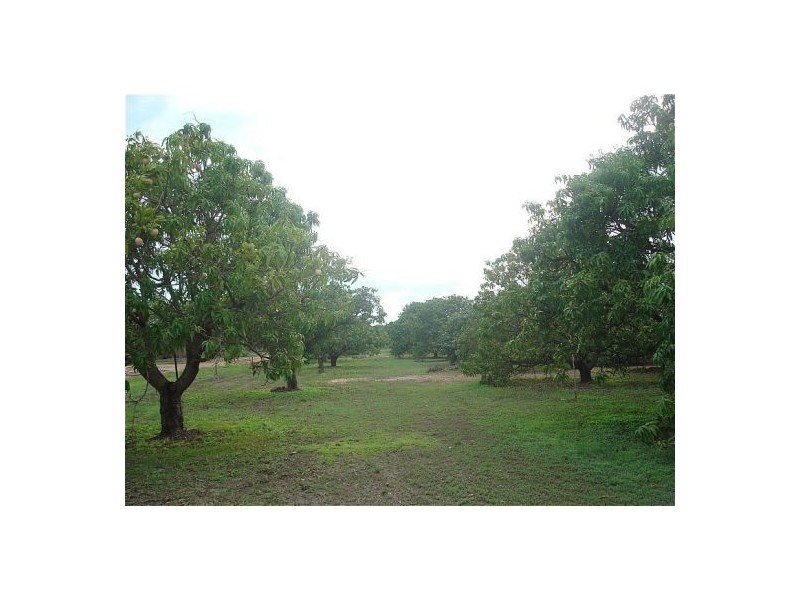 170 Madsen Rd, Howard Springs NT 0835
