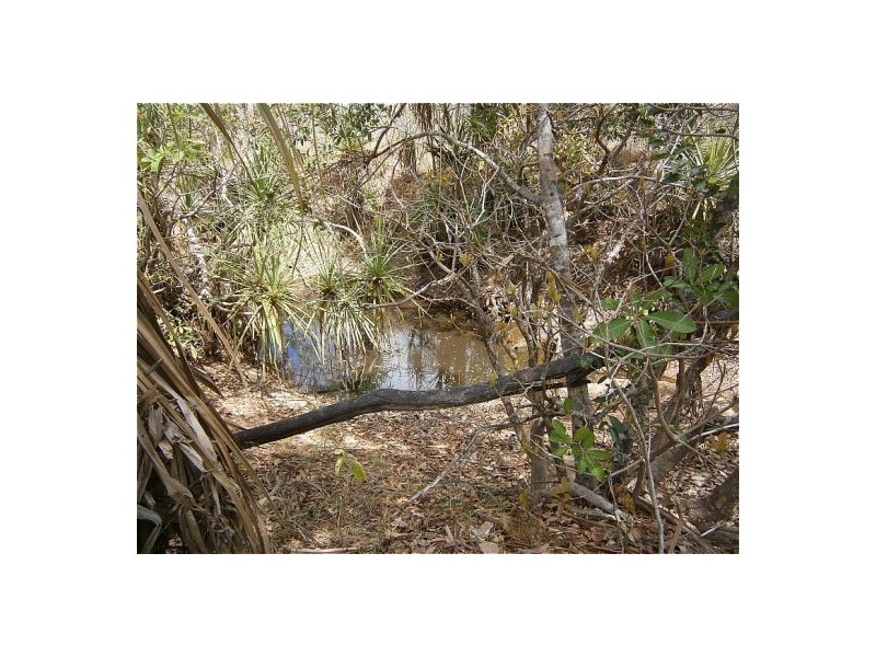 250 Meade Rd, Darwin River NT 0841