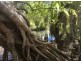 Lot 1756 Northstar Road, Acacia Hills NT 0822