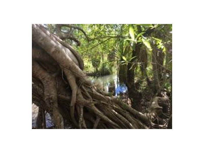 Lot 1756 Northstar Road, Acacia Hills NT 0822