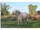 Sec 5780 487 Pioneer Drive, Humpty Doo NT 0836