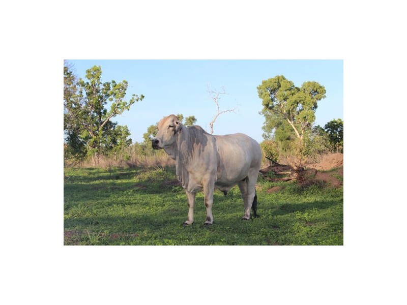 Sec 5780 487 Pioneer Drive, Humpty Doo NT 0836