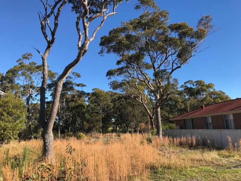 17 Prowse Close, Vincentia NSW 2540