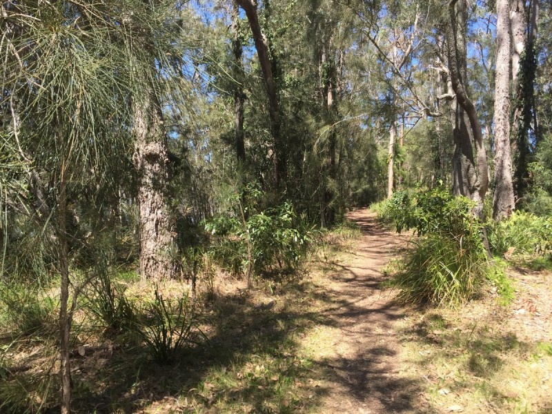 361 The Park Drive, Sanctuary Point NSW 2540