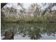 361 The Park Drive, Sanctuary Point NSW 2540