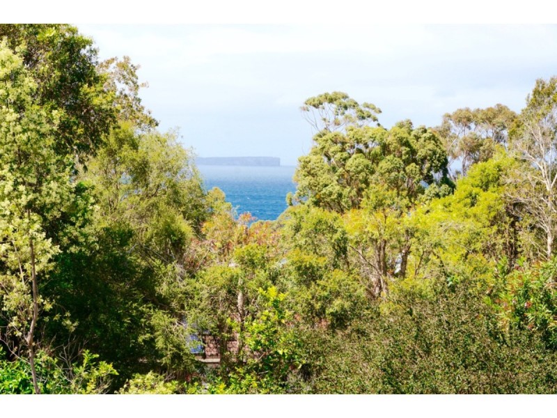 50 Waldegrave Crescent, Vincentia NSW 2540