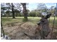 80 The Park Drive, Sanctuary Point NSW 2540