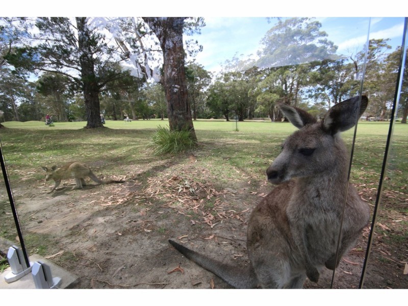 80 The Park Drive, Sanctuary Point NSW 2540