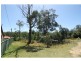17 Winn Avenue, Basin View NSW 2540