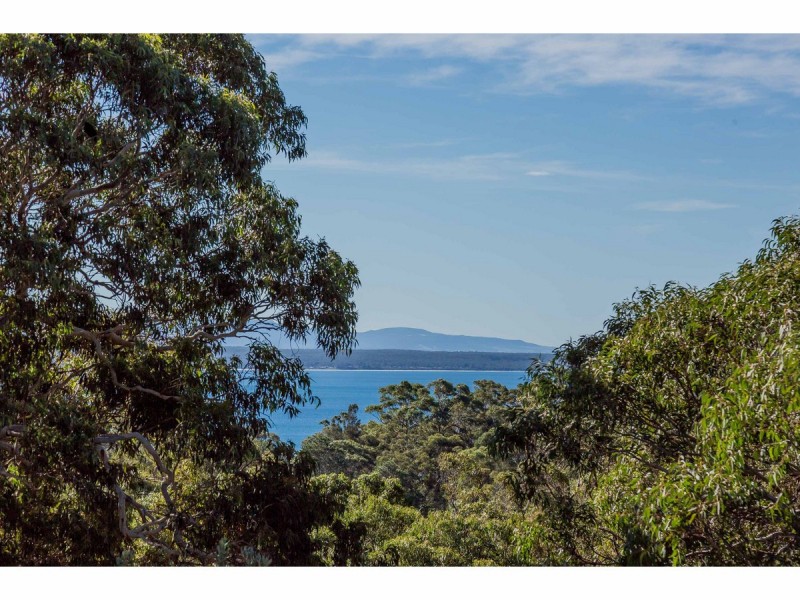 2 Louisa Grove, Vincentia NSW 2540