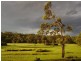 Woollamia NSW 2540