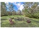 15 Vallon Road, Woollamia NSW 2540