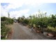 6 Kingfisher Avenue, Sanctuary Point NSW 2540