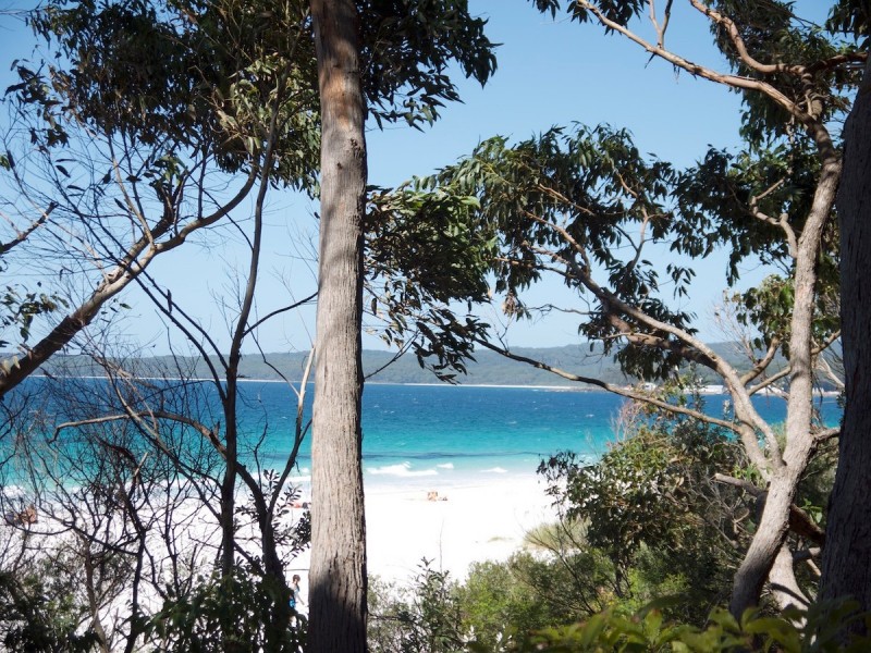 96 Cyrus Street, Hyams Beach NSW 2540