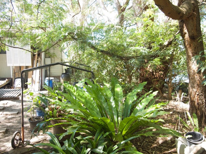 96 Cyrus Street, Hyams Beach NSW 2540