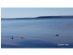 36 Nadine Street, Sanctuary Point NSW 2540