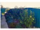25/94 Island Point Road, St Georges Basin NSW 2540