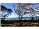 204 Elizabeth Drive, Vincentia NSW 2540