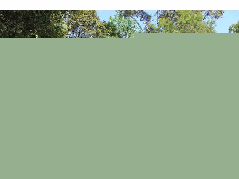 39 Clifton Street, Sanctuary Point NSW 2540