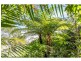 7 Flora Street, Sanctuary Point NSW 2540