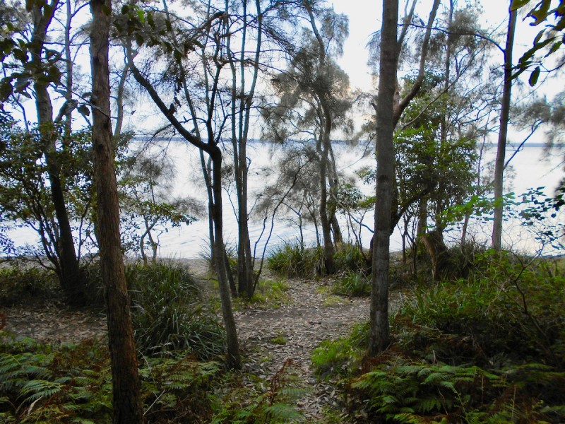 132 Greville Avenue, Sanctuary Point NSW 2540