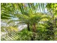 7 Flora Street, Sanctuary Point NSW 2540