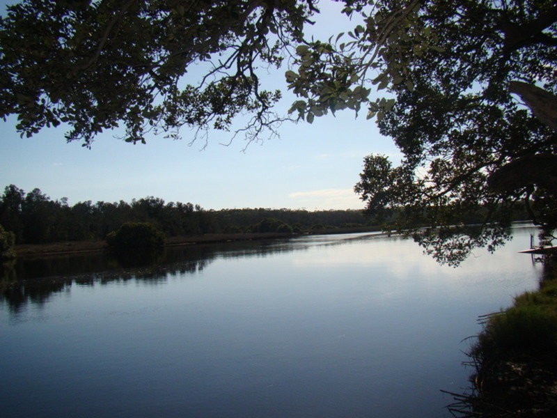 31 Streamside Street, Woollamia NSW 2540