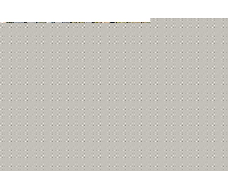 112 Waldegrave Crescent, Vincentia NSW 2540