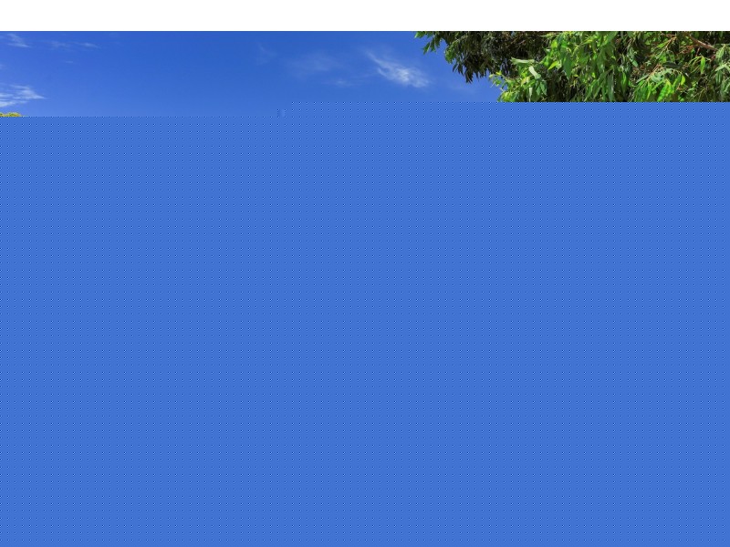 7 Waxberry Place, Sanctuary Point NSW 2540