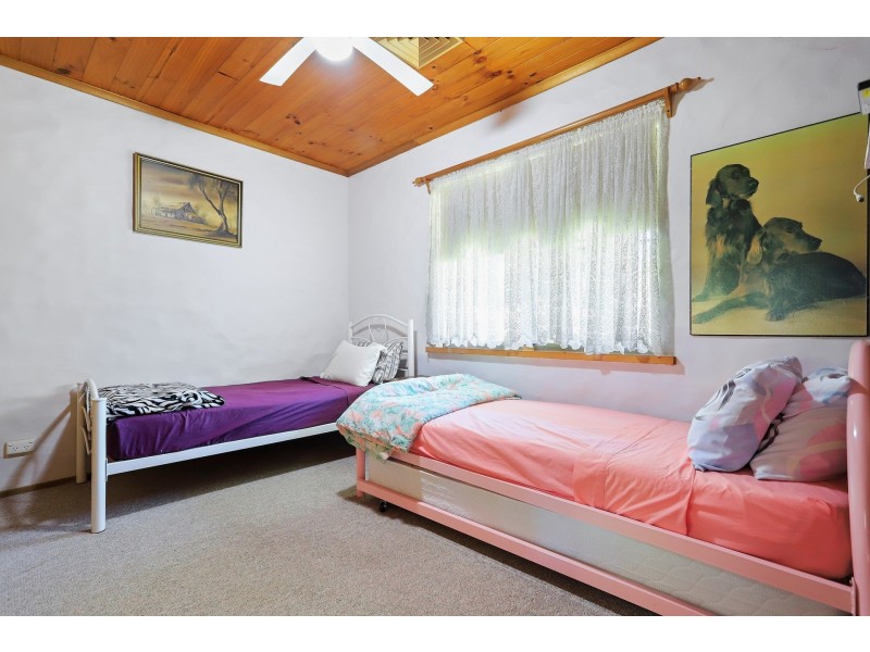 3 Carol Avenue, Basin View NSW 2540