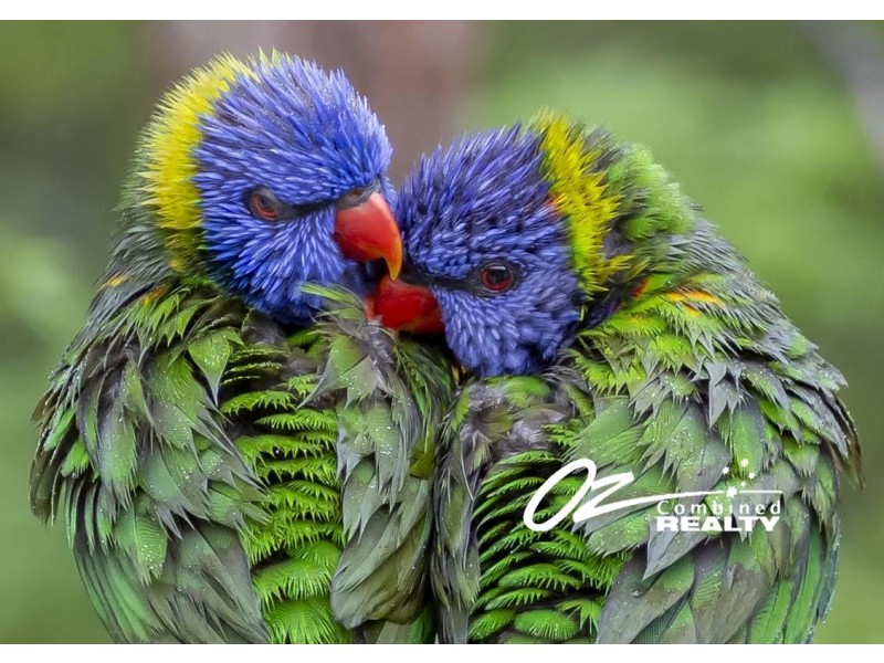 7 Egmont Place, Vincentia NSW 2540