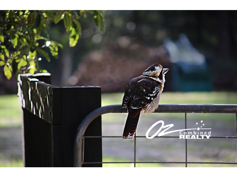 51 McArthur Drive, Falls Creek NSW 2540