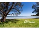 131 Macleans Point Road, Sanctuary Point NSW 2540