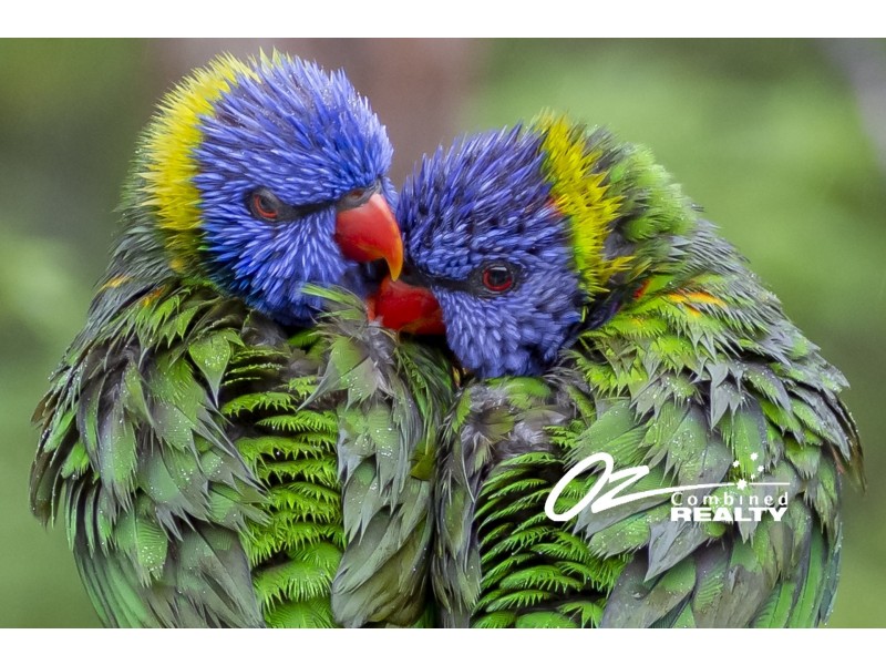 444 Elizabeth Drive, Vincentia NSW 2540