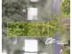 42 Ethel Street, Sanctuary Point NSW 2540