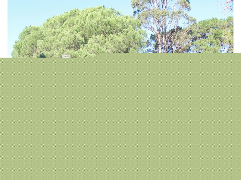 a/660 Woollamia Road, Woollamia NSW 2540