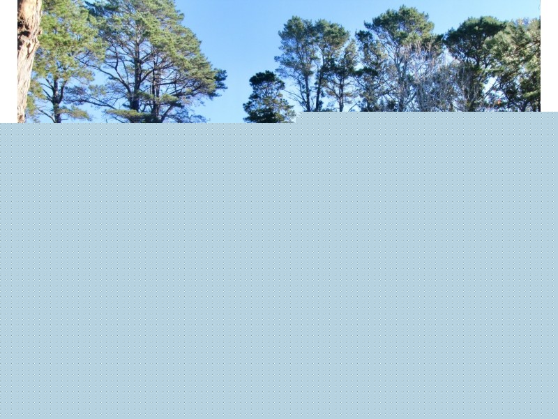 a/660 Woollamia Road, Woollamia NSW 2540