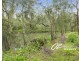 261 The Park Drive, Sanctuary Point NSW 2540