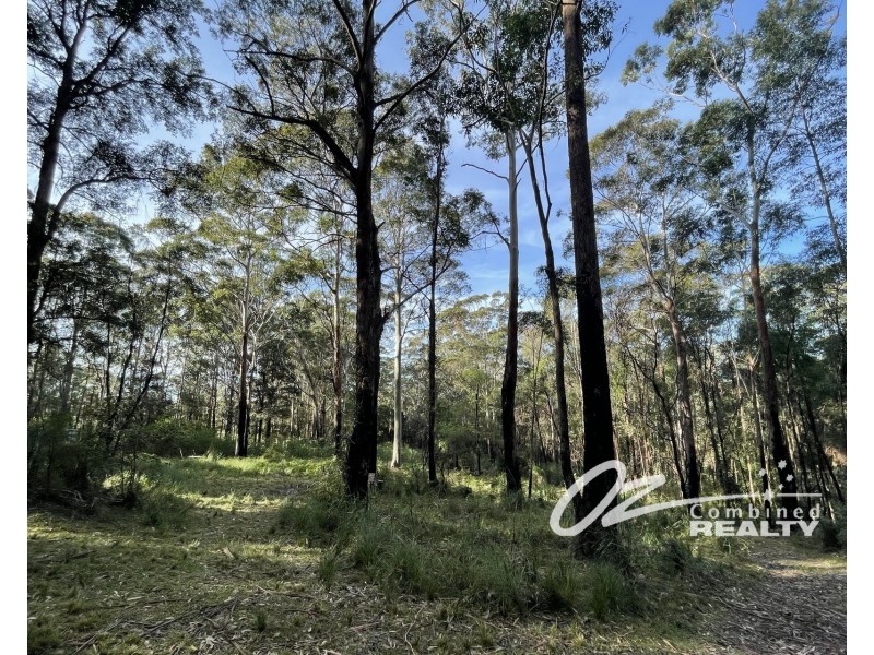 33A Battunga Drive, Tomerong NSW 2540