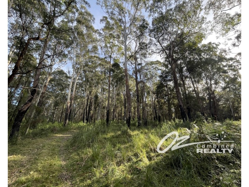 33A Battunga Drive, Tomerong NSW 2540
