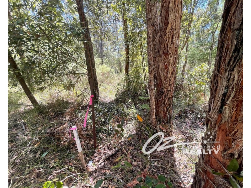 558 Atherton Road, Basin View NSW 2540