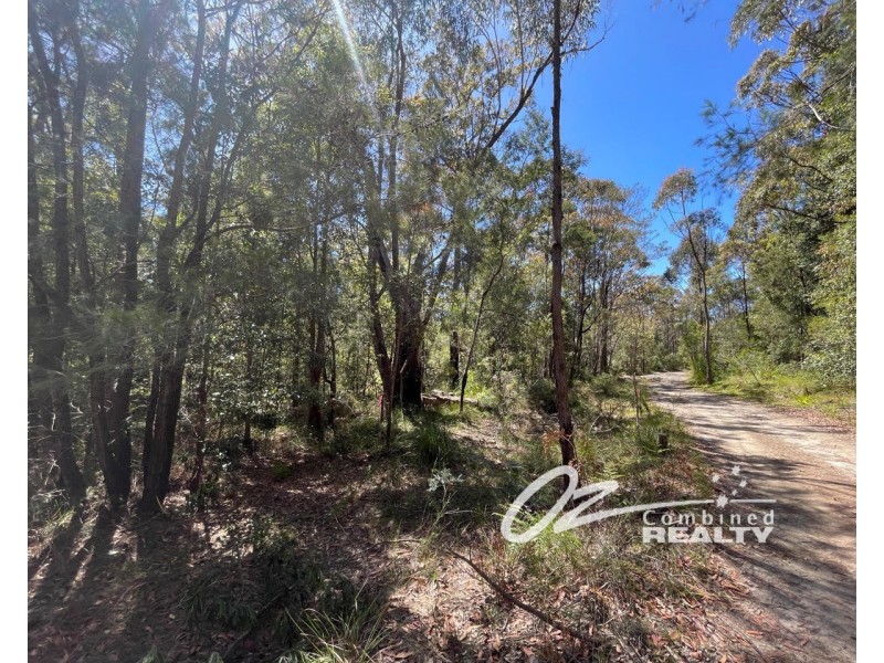 557 Atherton Street, Basin View NSW 2540