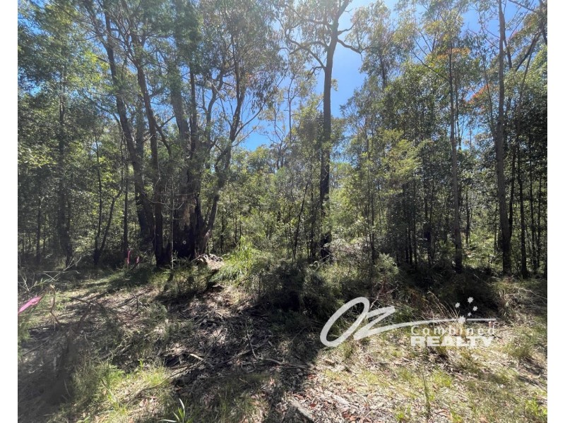 557 Atherton Street, Basin View NSW 2540