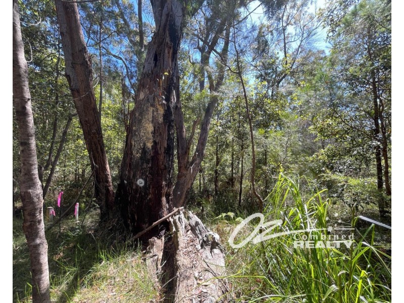 557 Atherton Street, Basin View NSW 2540