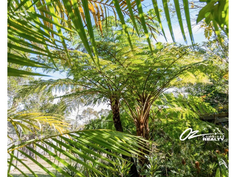 7 Flora Street, Sanctuary Point NSW 2540