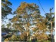 159 Loralyn Avenue, Sanctuary Point NSW 2540