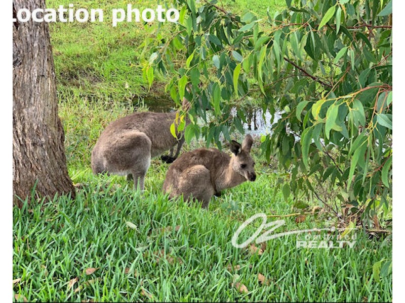 56 Fairway Drive, Sanctuary Point NSW 2540