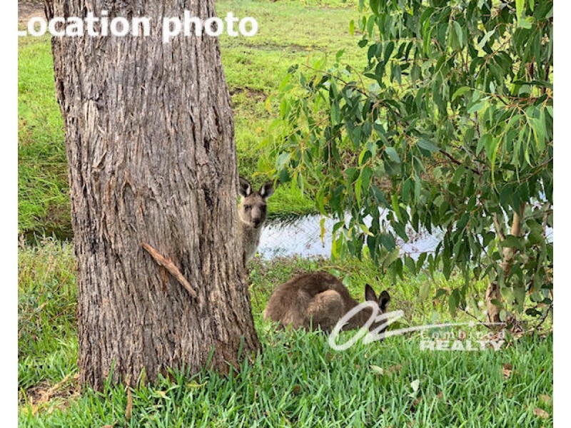 56 Fairway Drive, Sanctuary Point NSW 2540