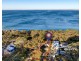 150 Elizabeth Drive, Vincentia NSW 2540